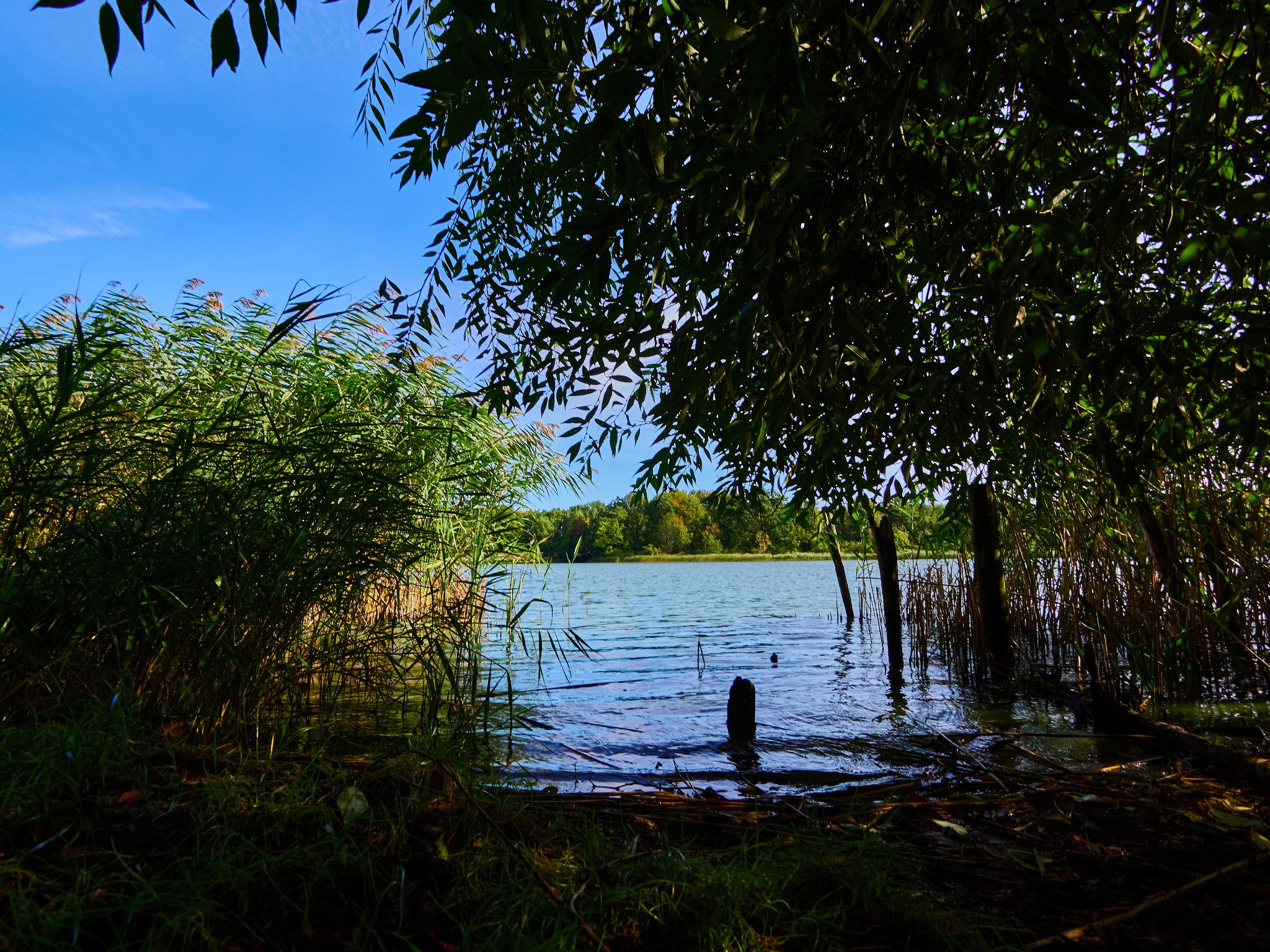 Landschaft 2024  1780 Usedom